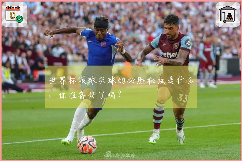 世界杯滚球买球的必胜秘诀是什么，你准备好了吗？