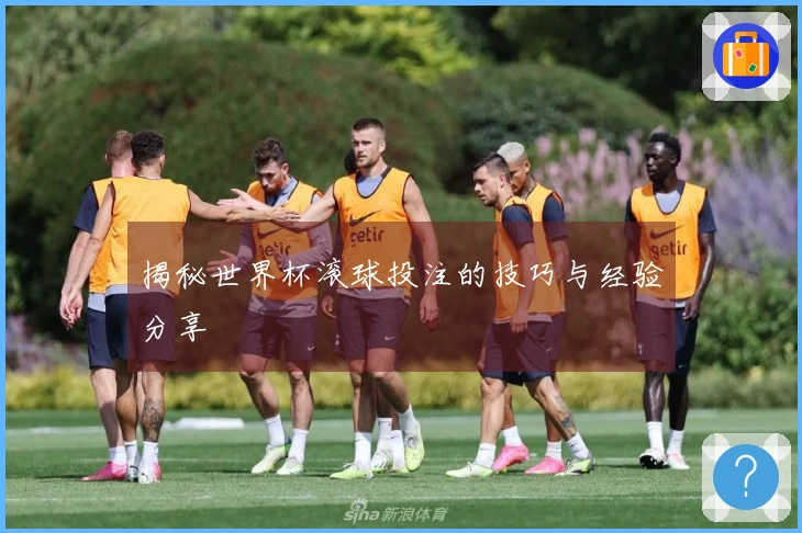 揭秘世界杯滚球投注的技巧与经验分享