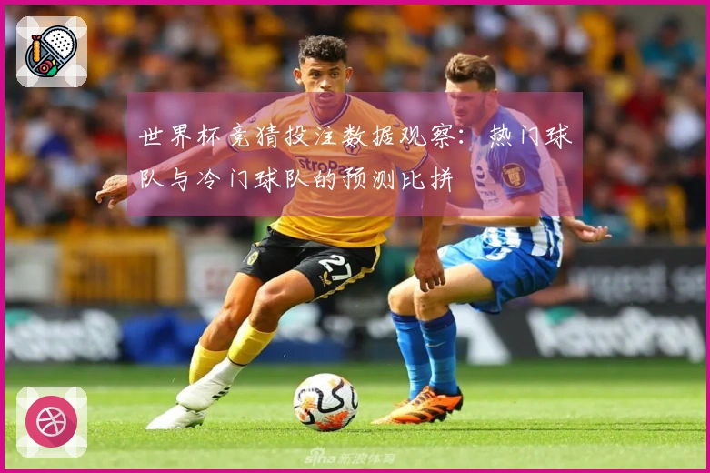 世界杯竞猜投注数据观察：热门球队与冷门球队的预测比拼