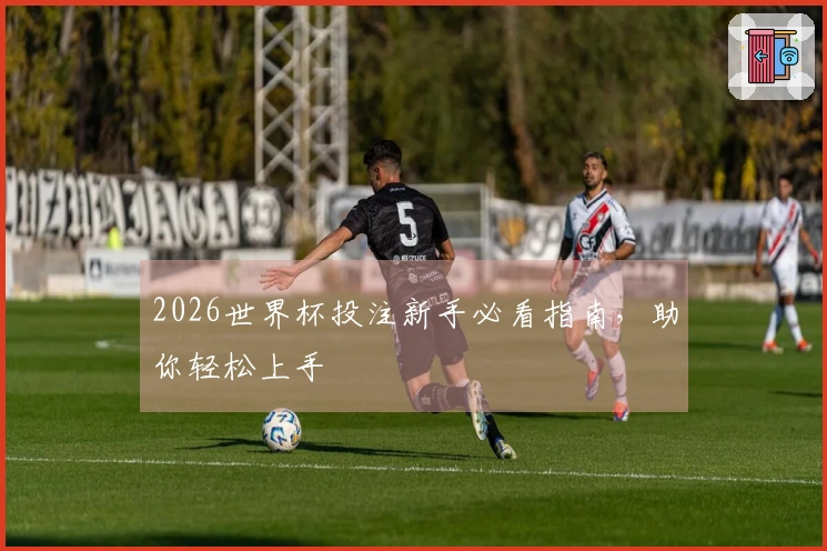 2026世界杯投注新手必看指南，助你轻松上手