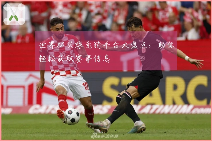 世界杯买球竞猜平台大盘点，助你轻松获取赛事信息