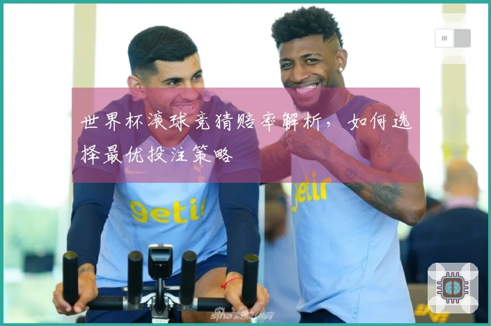 世界杯滚球竞猜赔率解析，如何选择最优投注策略