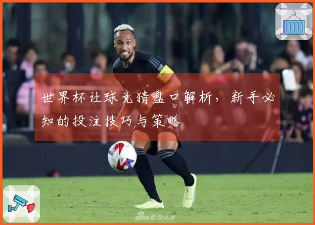 世界杯让球竞猜盘口解析，新手必知的投注技巧与策略